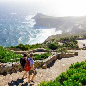 Half Day Cape Point Tour