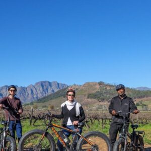 Electric Bike Winelands Full Day Tour