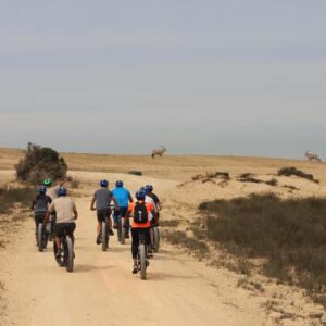 Electric Bike Safari