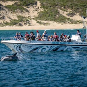 Marine Eco Tour