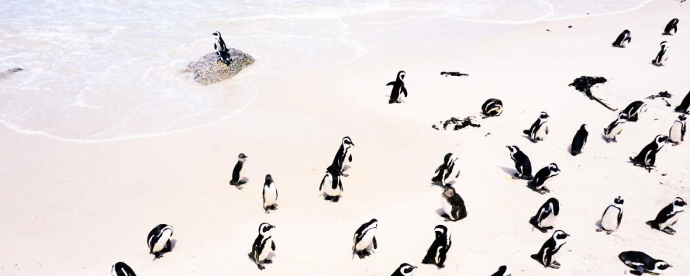 1551881325jack-young-612174-unsplash-compressed